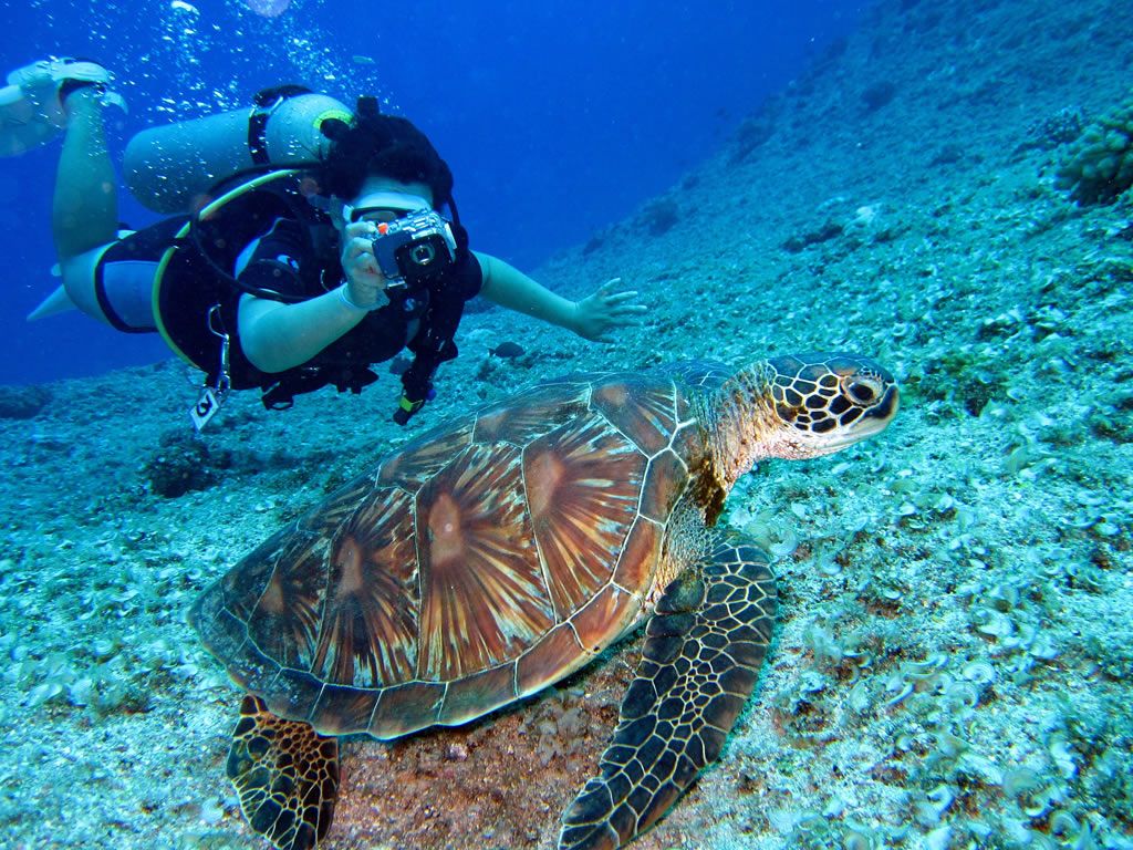 buceo1-compressor